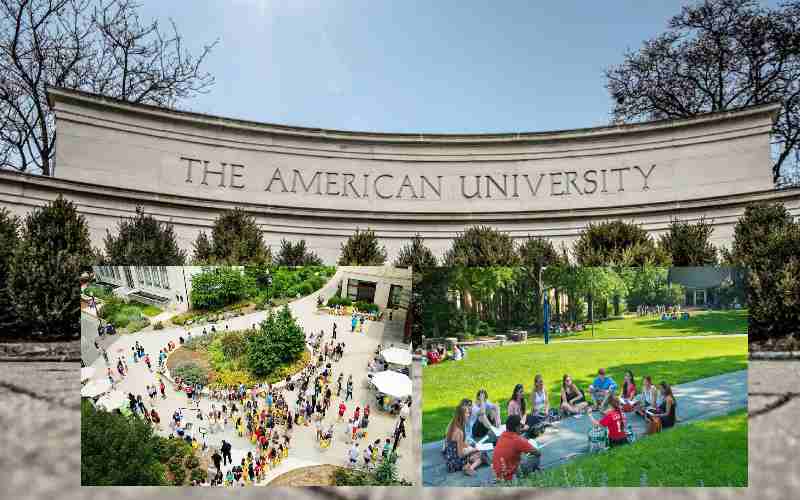 American University,USA